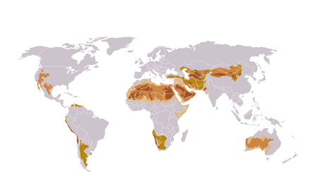 mapa del desierto